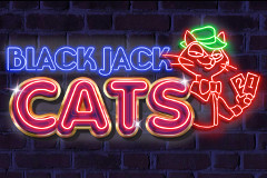 Blackjack Cats logo