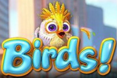 Birds!