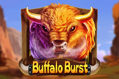 Buffalo Burst logo