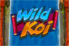 Wild Koi logo
