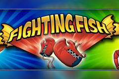 play the Fighting Fish Slot