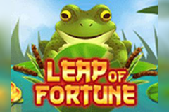 Leap of Fortune logo