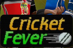 Cricket Fever