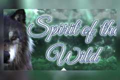 Spirit of the Wild logo