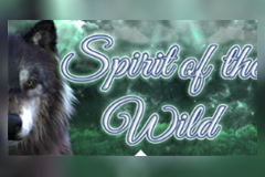 Spirit of the Wild