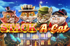 Stack A Cat logo