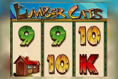 play the Lumber Cats Slot