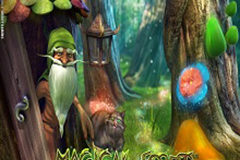 Magical Forest