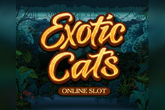 play the Exotic Cats Slot