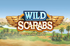 play the Wild Scarabs Slot