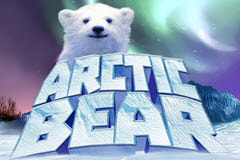 Arctic Bear logo
