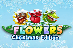 Flowers Christmas Edition