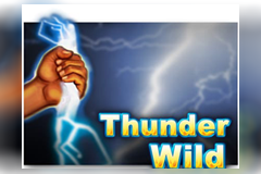 Thunder Wild logo