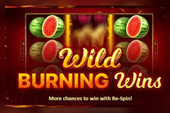 Wild Burning Wins