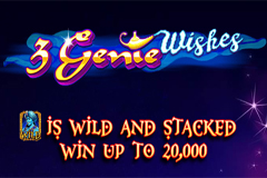 3 Genie Wishes