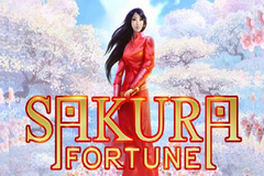 Sakura Fortune