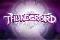 Thunderbird logo