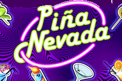 Pina Nevada logo