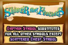 play the Shiver Me Feathers Slot