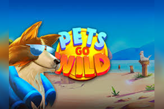 Pets Go Wild logo