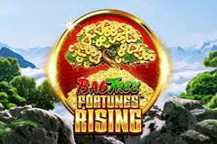 Bao Tree Fortunes Rising logo