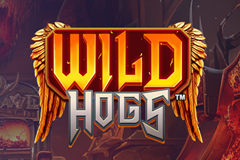 Wild Hogs logo