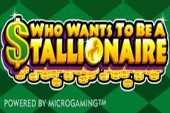 play the Who Wants to be a Stallionaire Slot