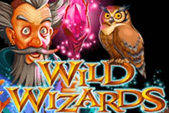 Wild Wizards