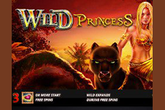 Wild Princess logo