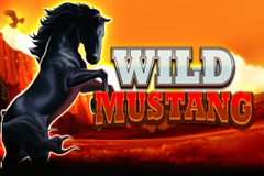 Wild Mustang logo