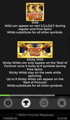 Wild Symbol