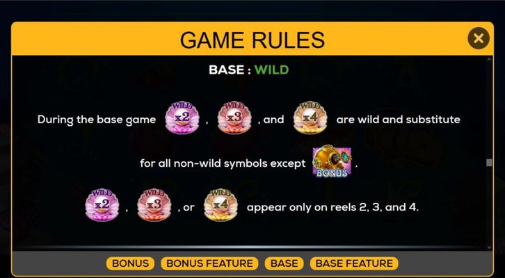 Wild Symbol Rules