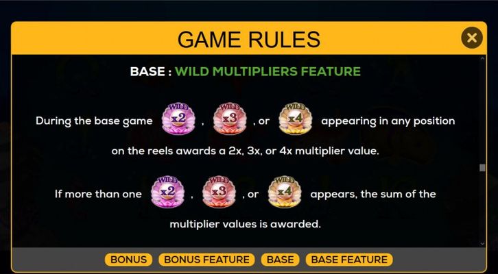 Wild Multiplier Feature