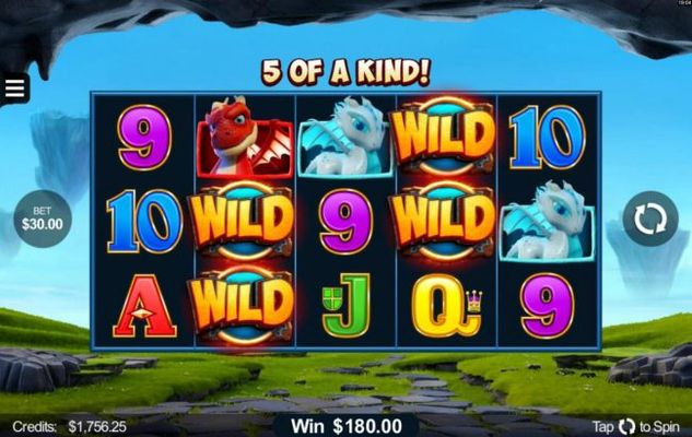 Wild symbols complete a winning Five of a Kind.