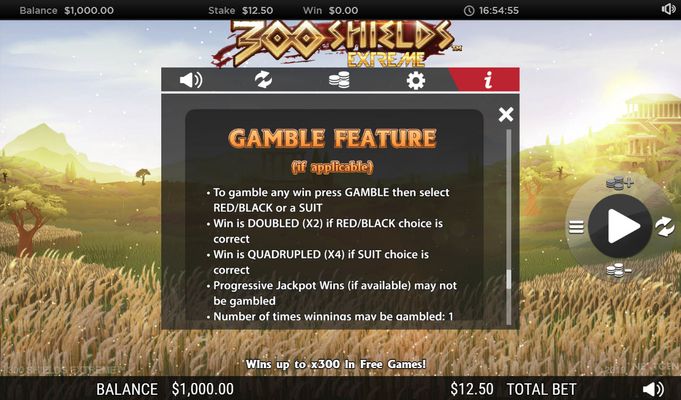 300 Shields Extreme :: Gamble Feature Rules