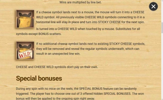 Wild Symbol Rules