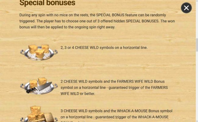 Special Bonuses Rules