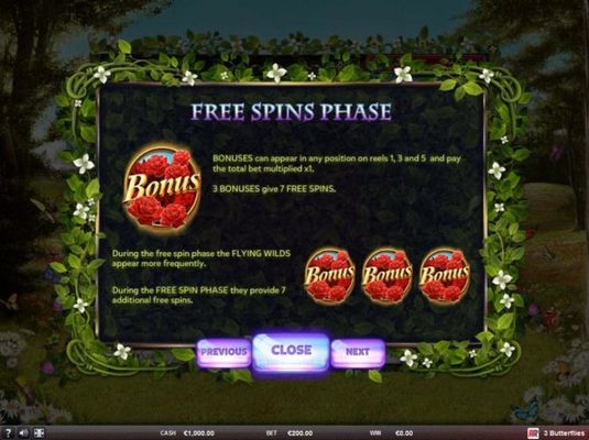 Free Spins Rules