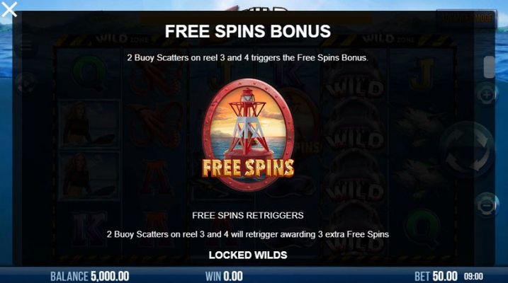 Free Spins Rules