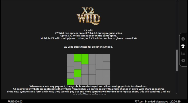 Wild Symbol Rules