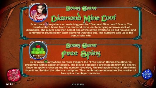 Bonus Feature and Free Spins Feature Rules