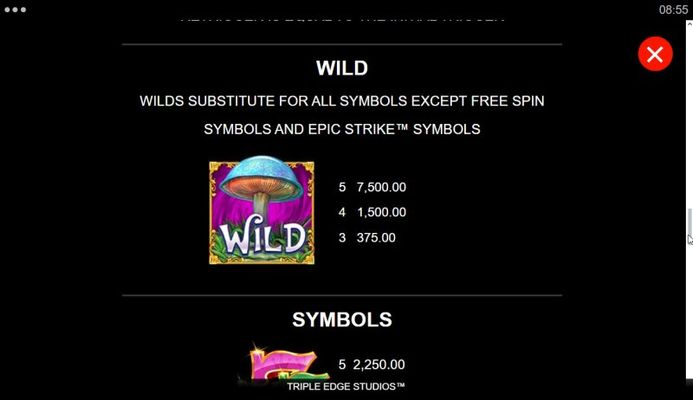 Wild Symbol