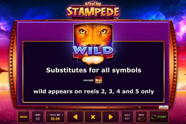 Wild Symbols Rules