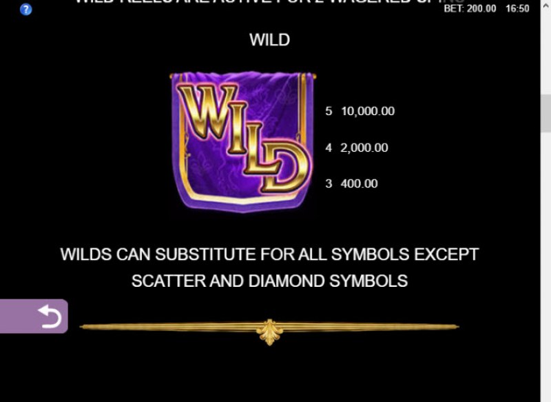 Wild Symbols Rules