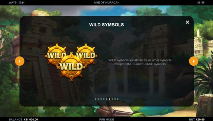 Wild Symbol Rules