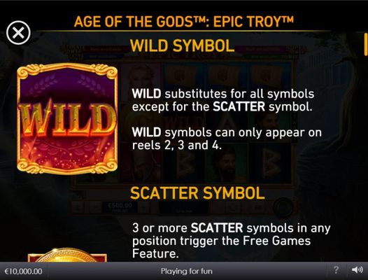 Wild Symbol Rules