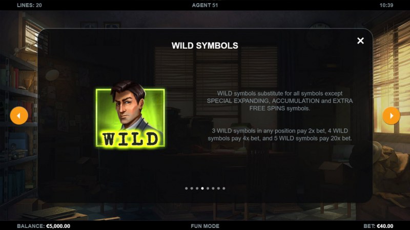 Wild Symbol Rules