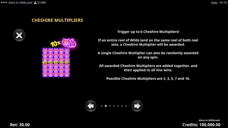 Cheshire Multipliers