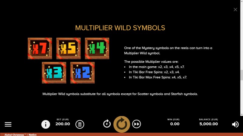 Multiplier Wild Symbols