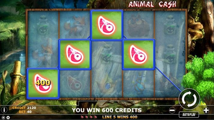 Animal Cash :: A four of a kind Win